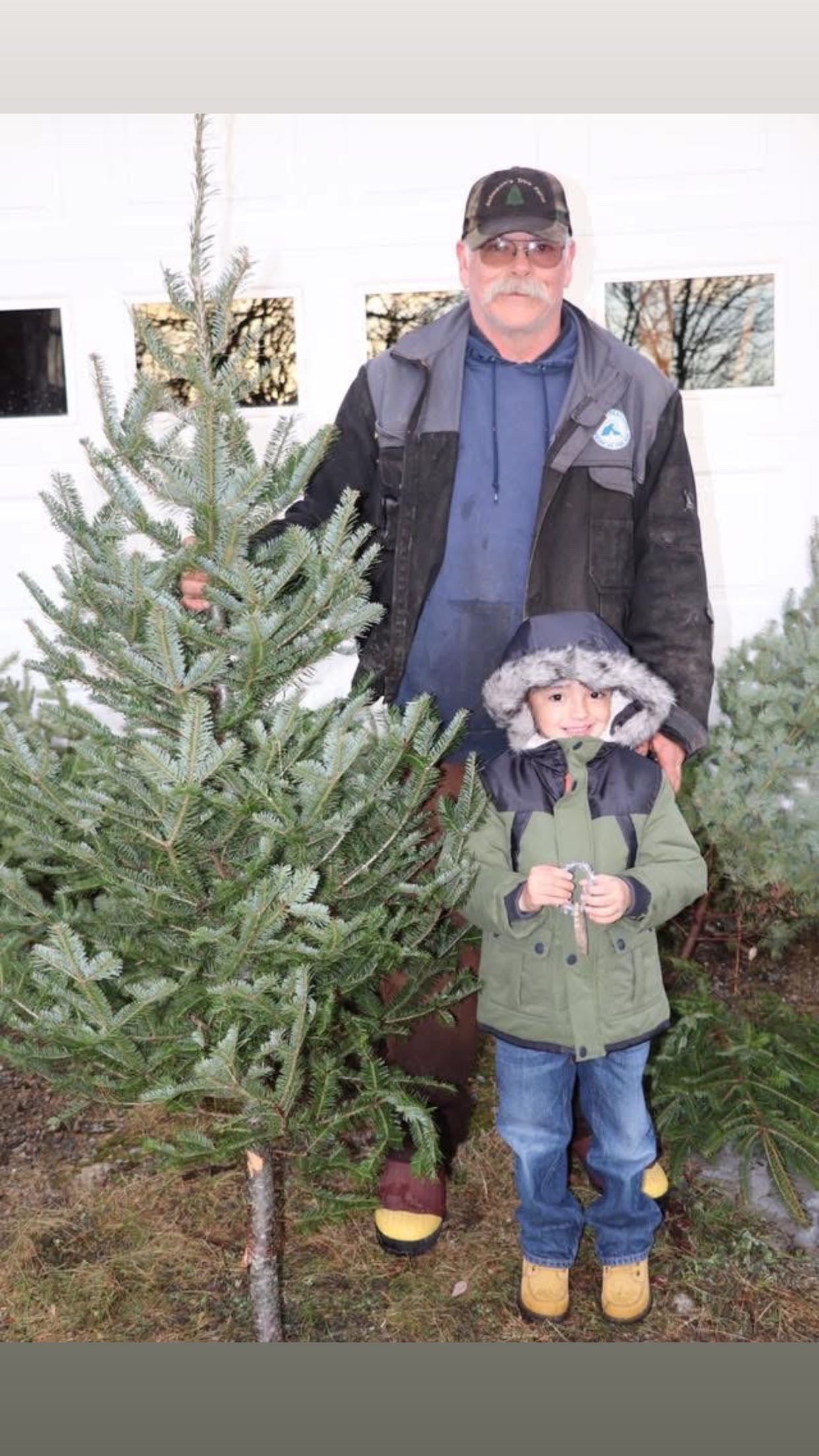 Johnson's Tree Farm Zippy