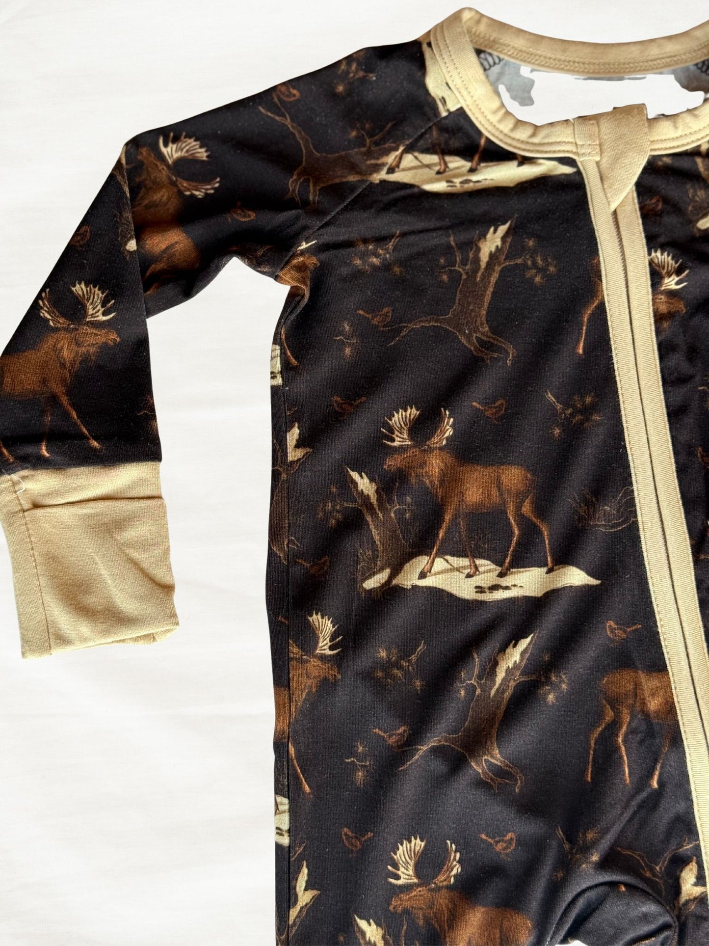 Up On The Allagash Zippy