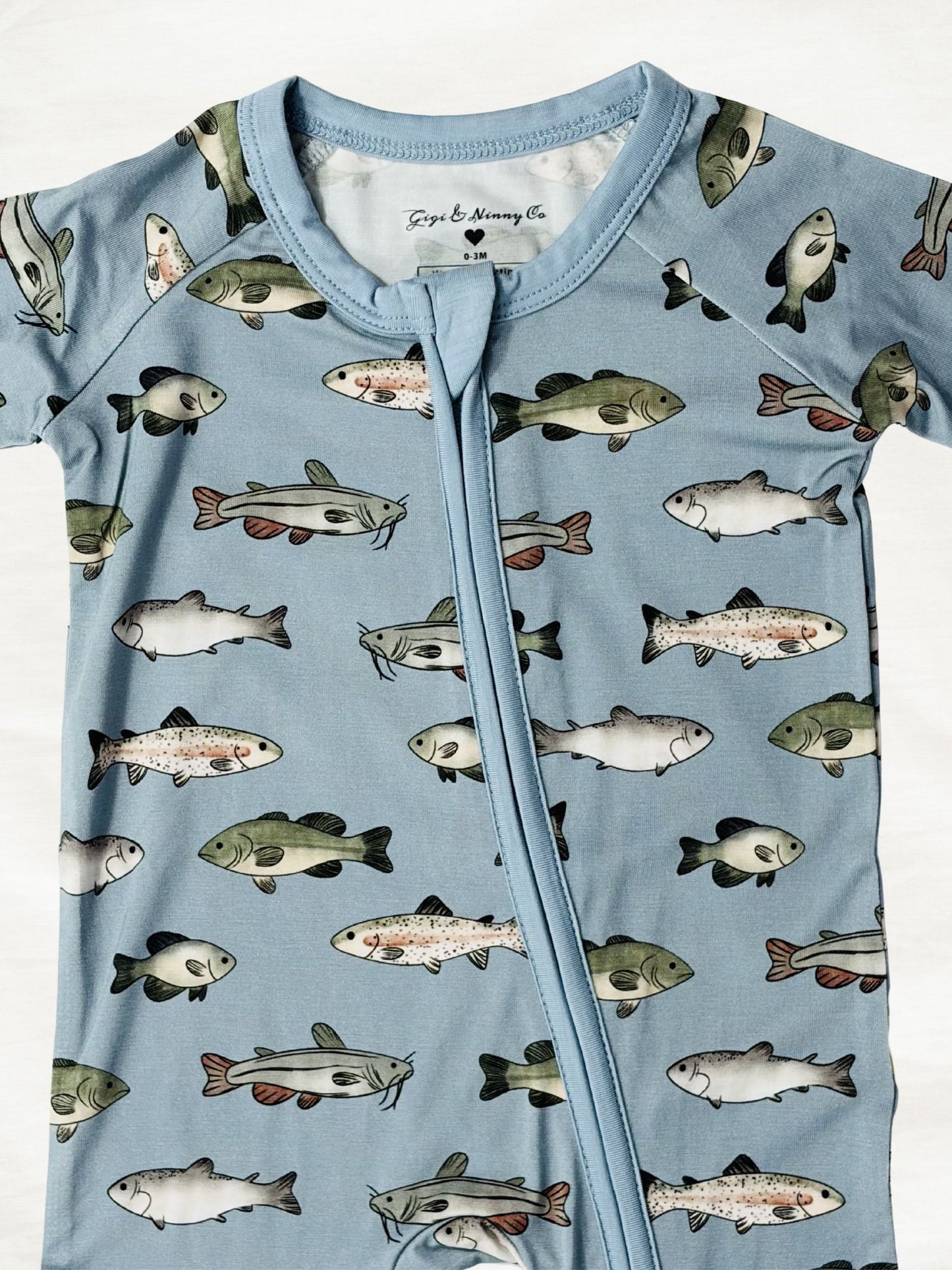 Catch Of The Day Zippy