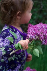 Lilac Lane Zippy