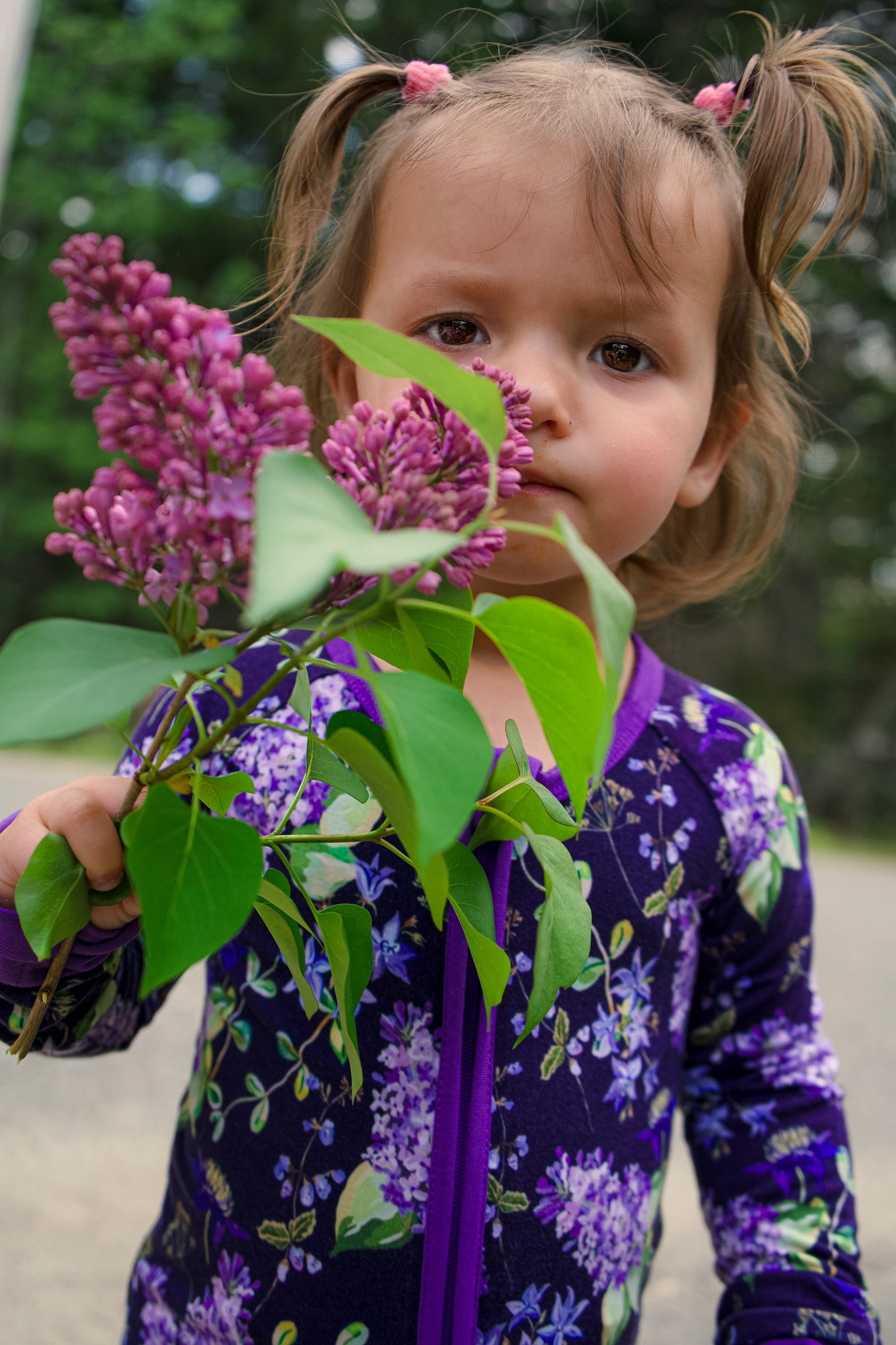 Lilac Lane Zippy