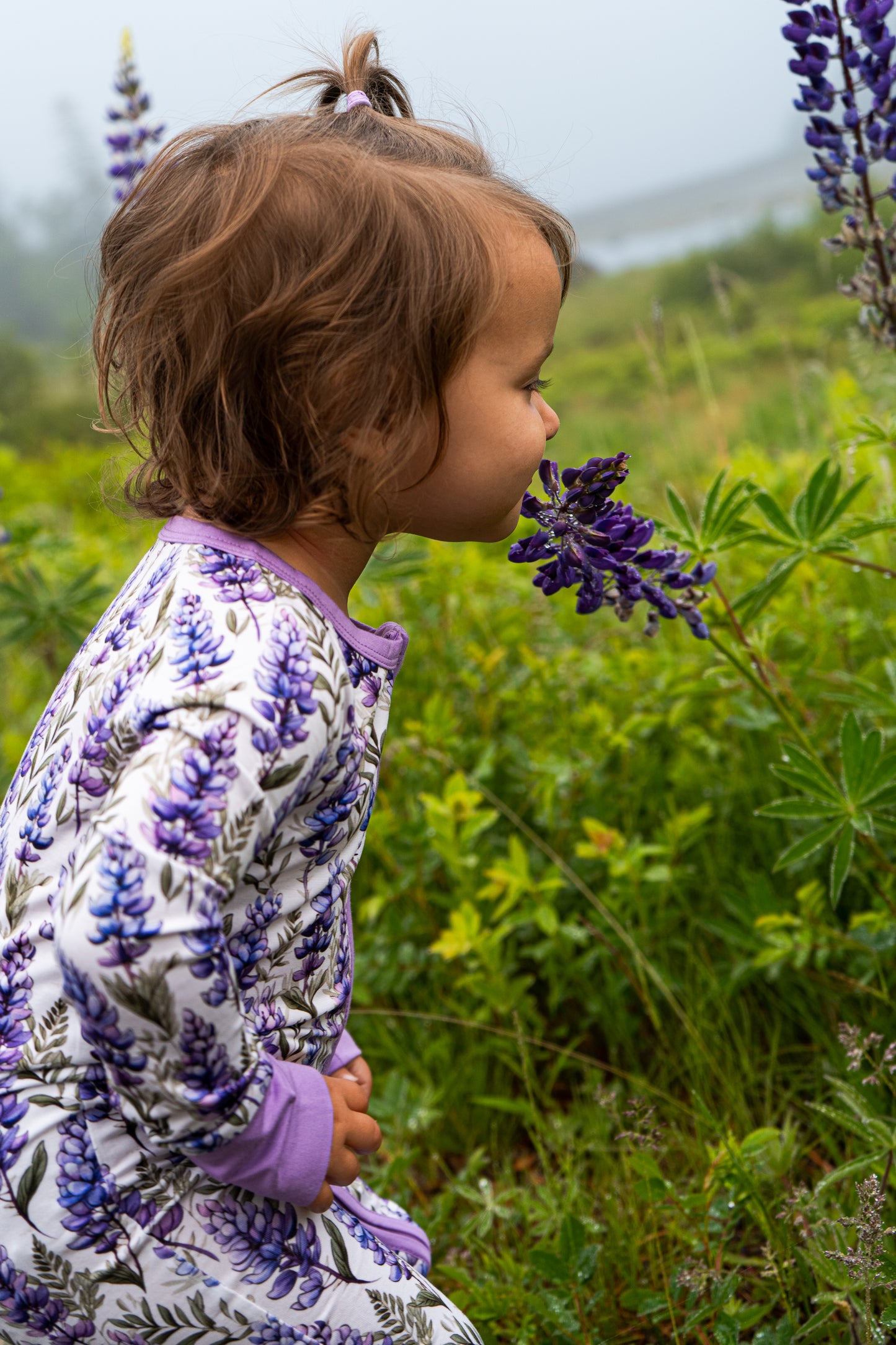 Lupine Fields Zippy | Maine Lupine Pajamas