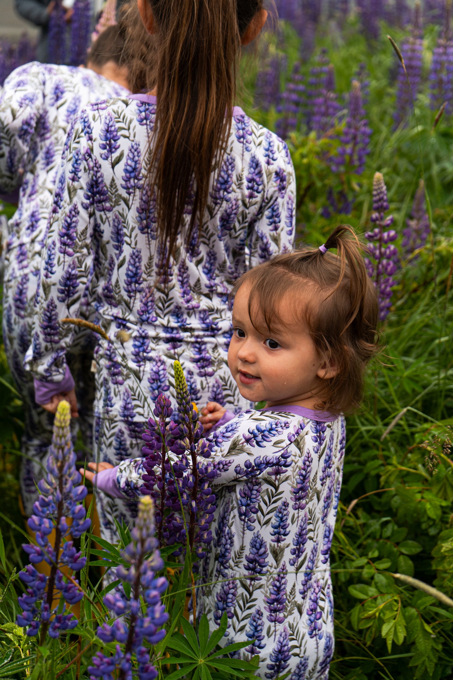 Lupine Fields Zippy | Maine Lupine Pajamas