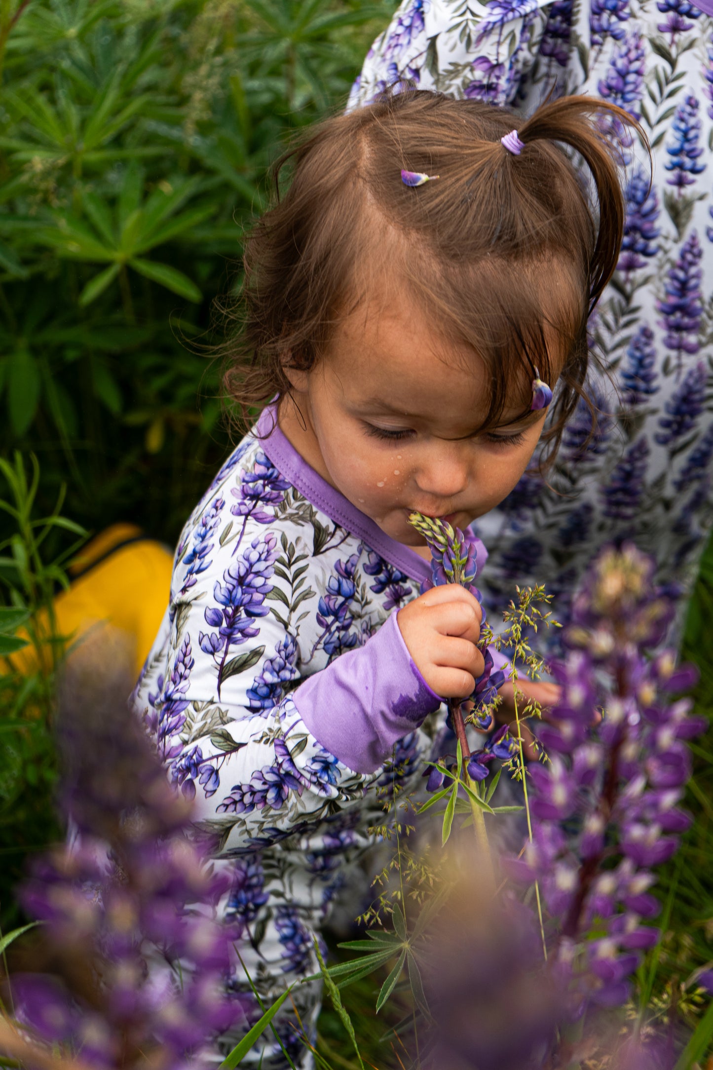 Lupine Fields Zippy | Maine Lupine Pajamas