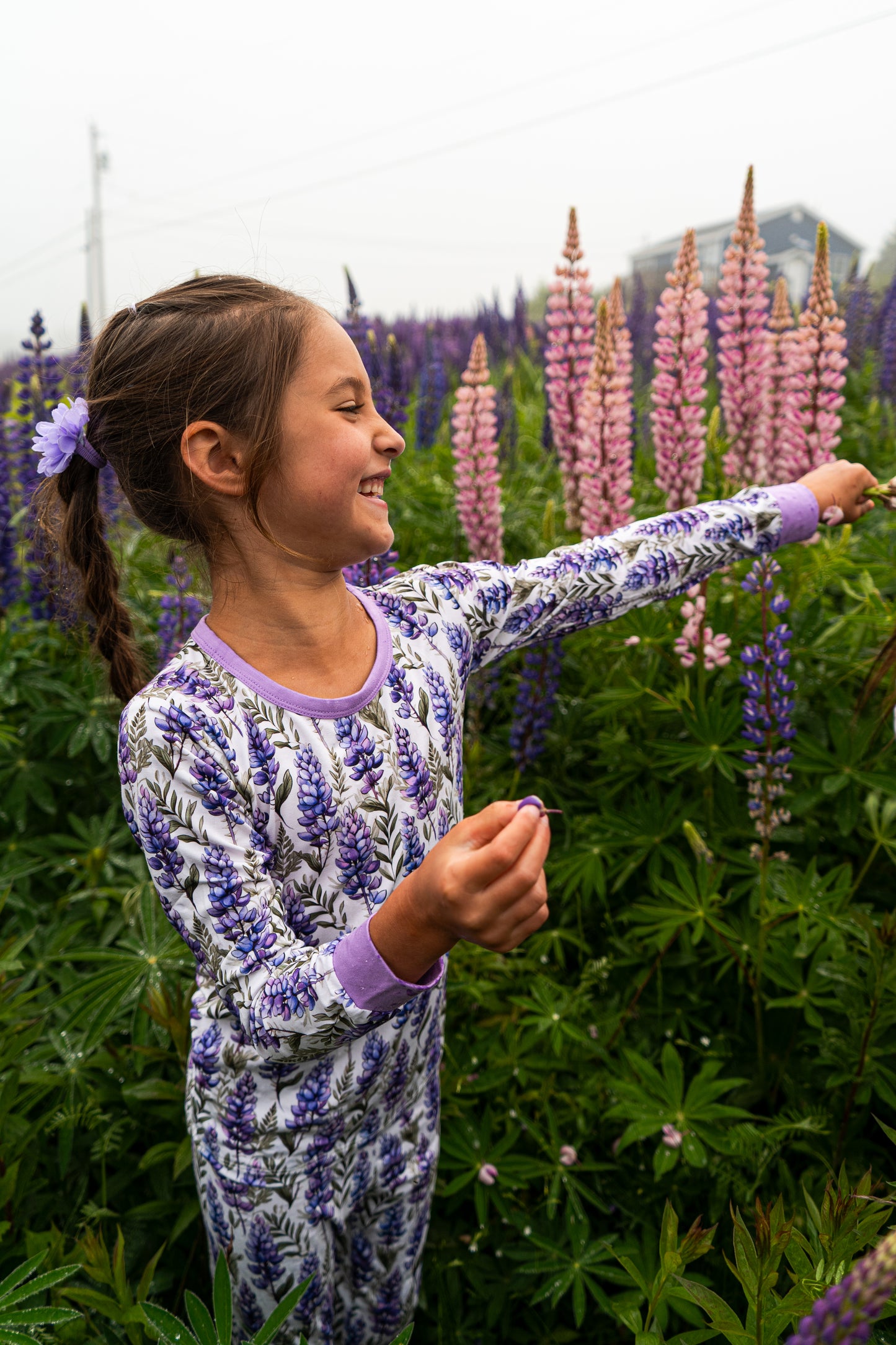 Lupine Fields Two Piece | Maine Lupine Pajamas