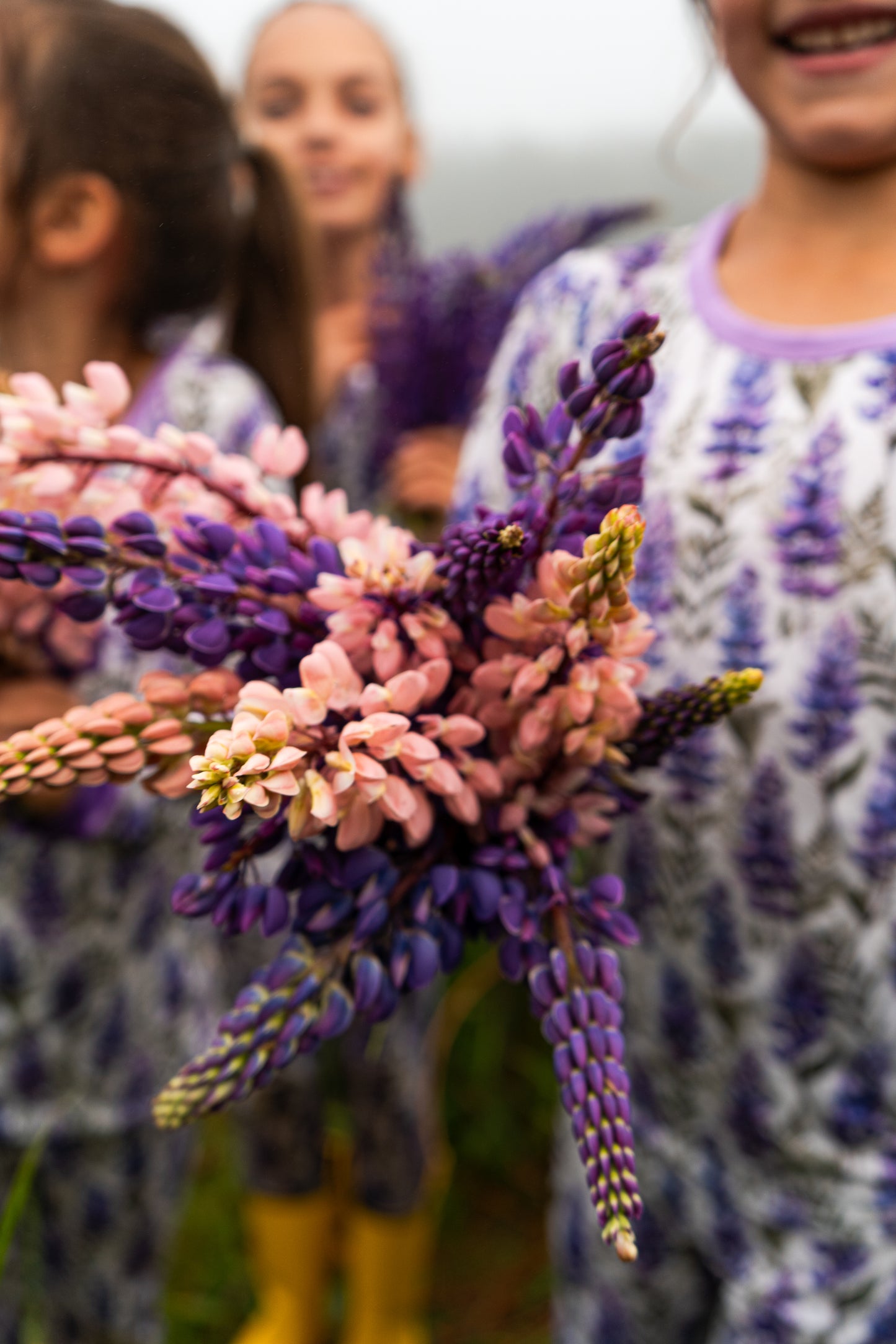 Lupine Fields Two Piece | Maine Lupine Pajamas