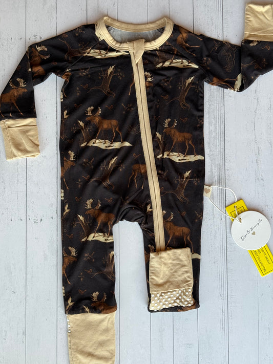 Up On The Allagash Zippy