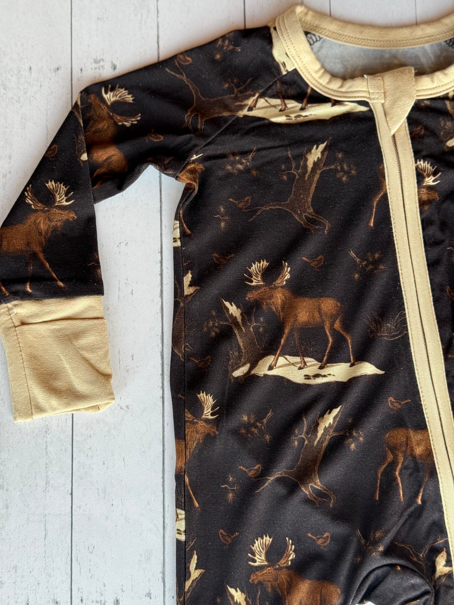 Up On The Allagash Zippy