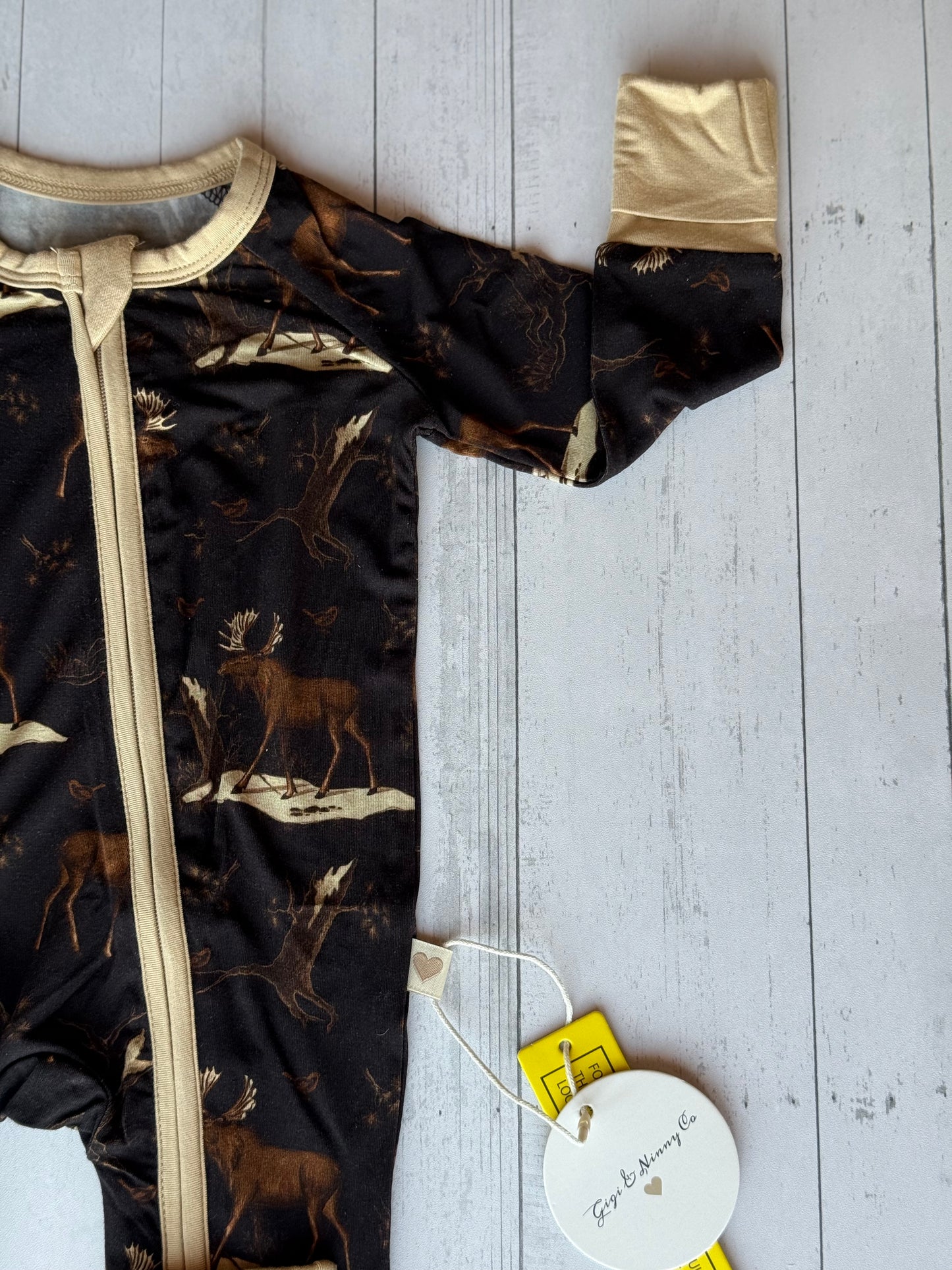 Up On The Allagash Zippy