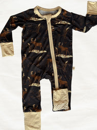 Up On The Allagash Zippy